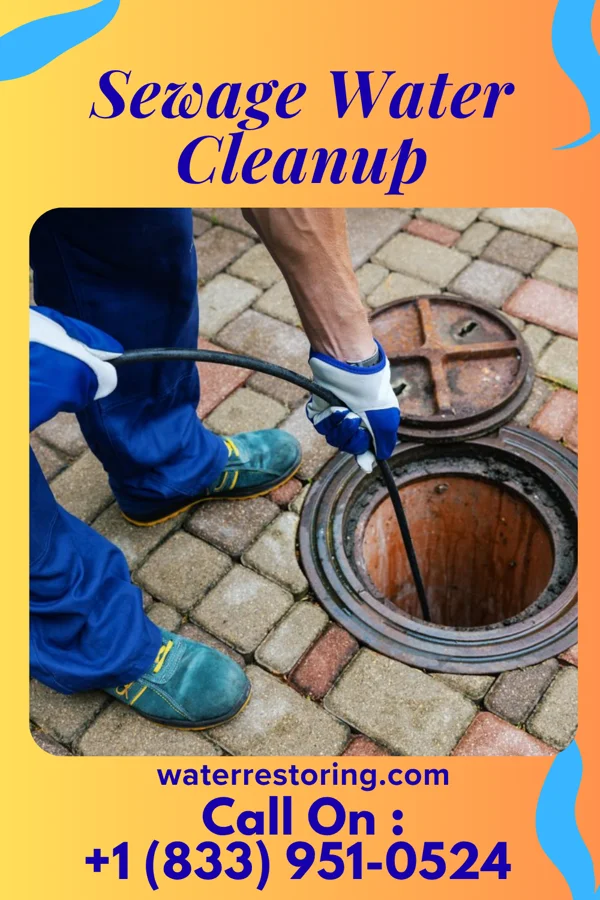 Sewage Water Cleanup in Two Harbors, MN